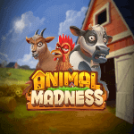 Animal  Madness