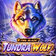 Fire  Blaze  Golden  Tundra  Wolf