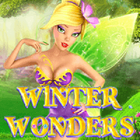 Winter Wonders