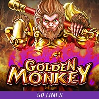 Golden  Monkey