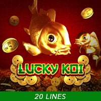 Lucky  Koi